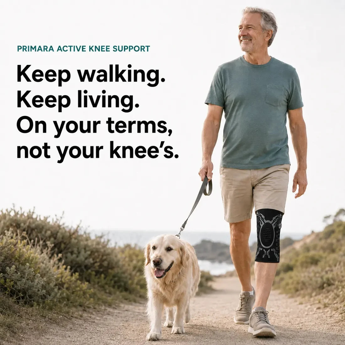 Adjustable Knee Brace